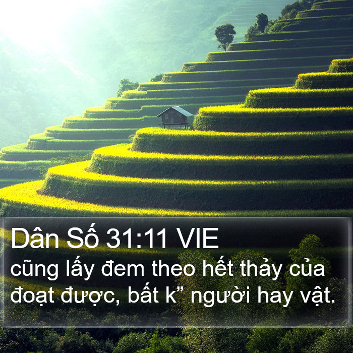 Dân Số 31:11 VIE Bible Study