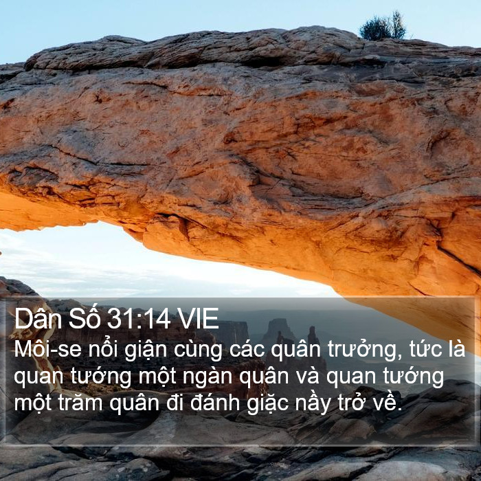 Dân Số 31:14 VIE Bible Study