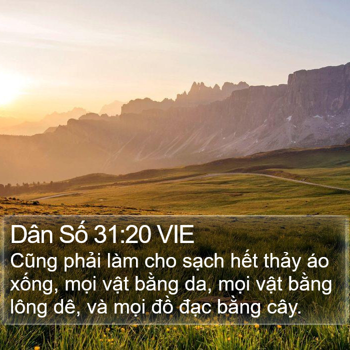 Dân Số 31:20 VIE Bible Study