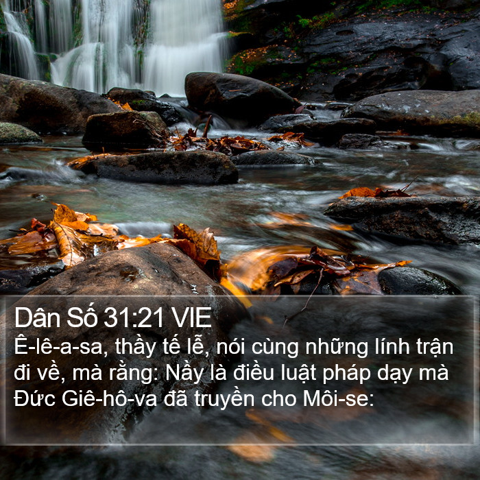 Dân Số 31:21 VIE Bible Study
