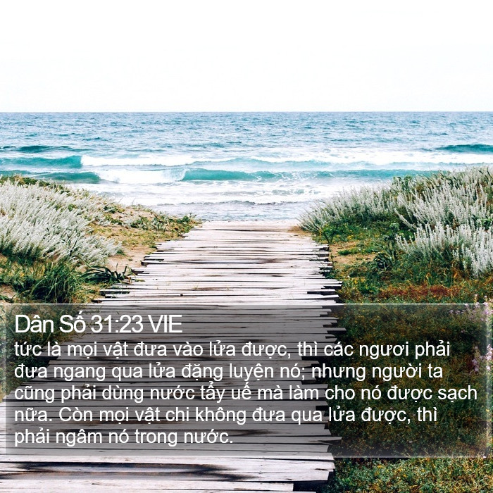 Dân Số 31:23 VIE Bible Study