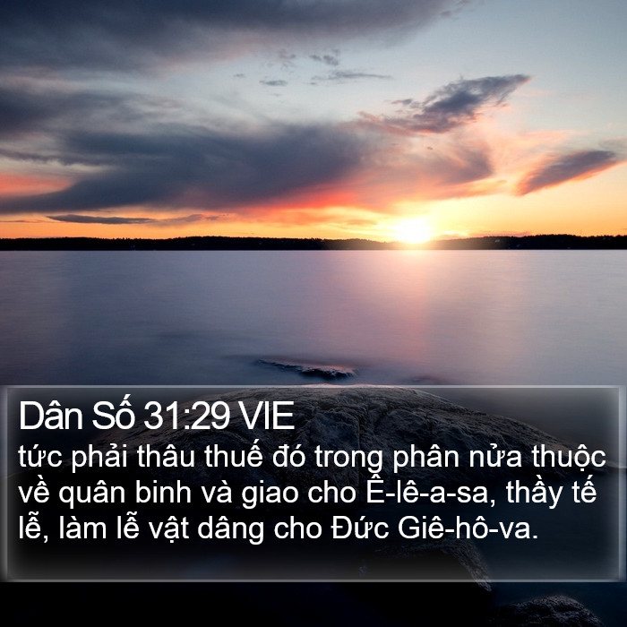 Dân Số 31:29 VIE Bible Study