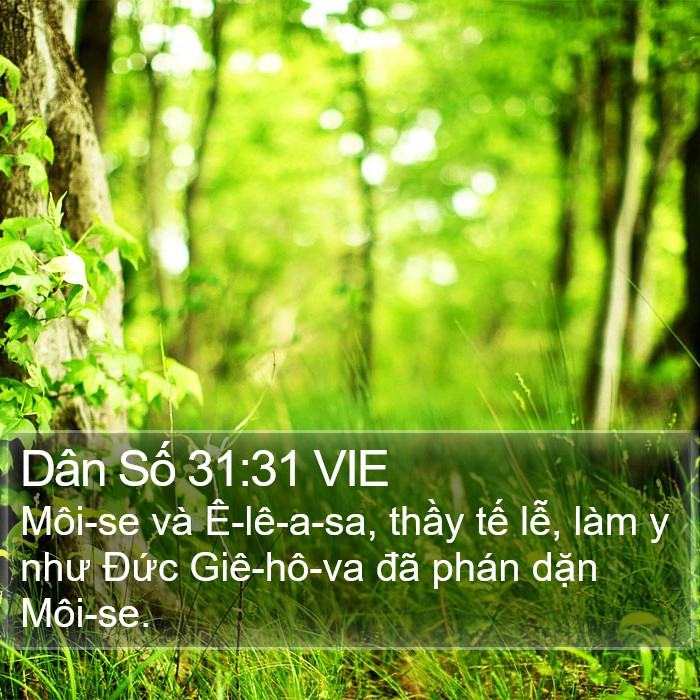 Dân Số 31:31 VIE Bible Study