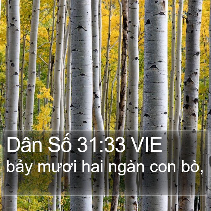 Dân Số 31:33 VIE Bible Study