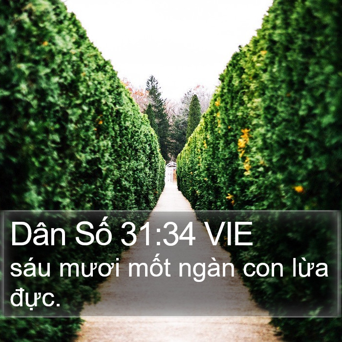 Dân Số 31:34 VIE Bible Study