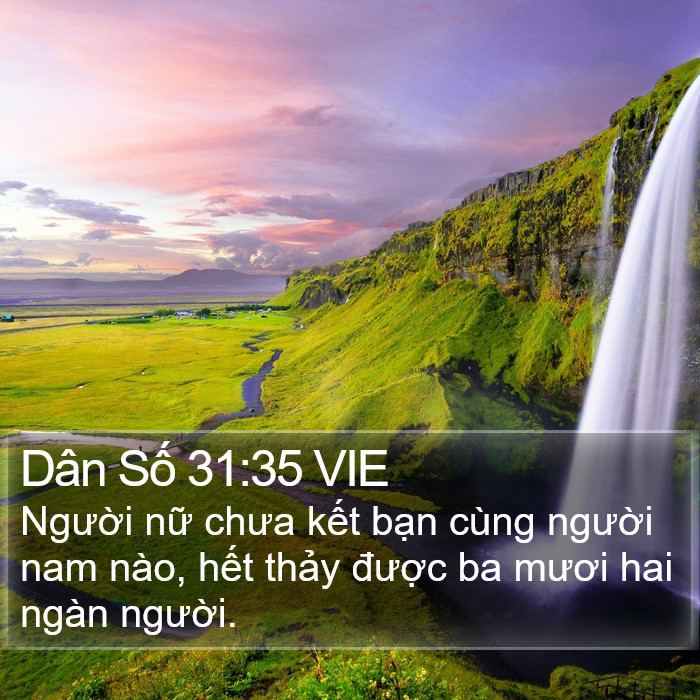 Dân Số 31:35 VIE Bible Study