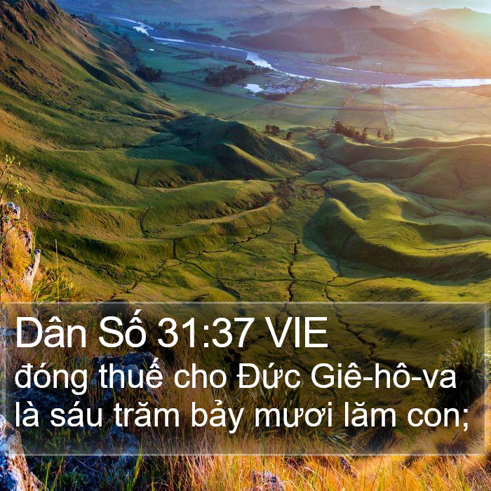 Dân Số 31:37 VIE Bible Study