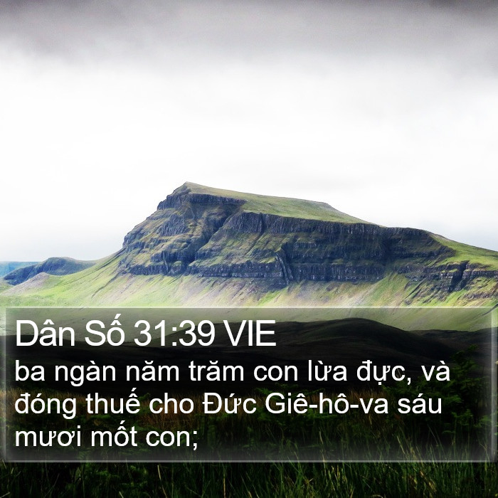 Dân Số 31:39 VIE Bible Study