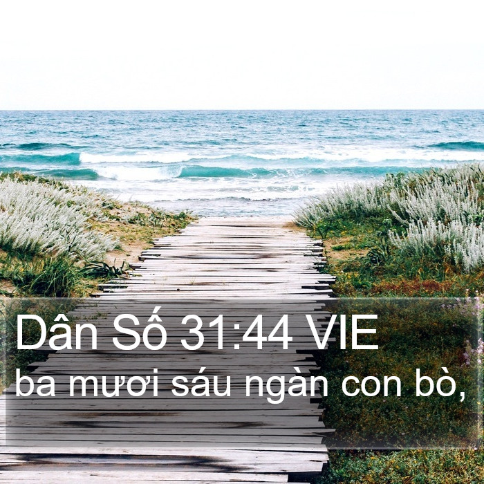Dân Số 31:44 VIE Bible Study