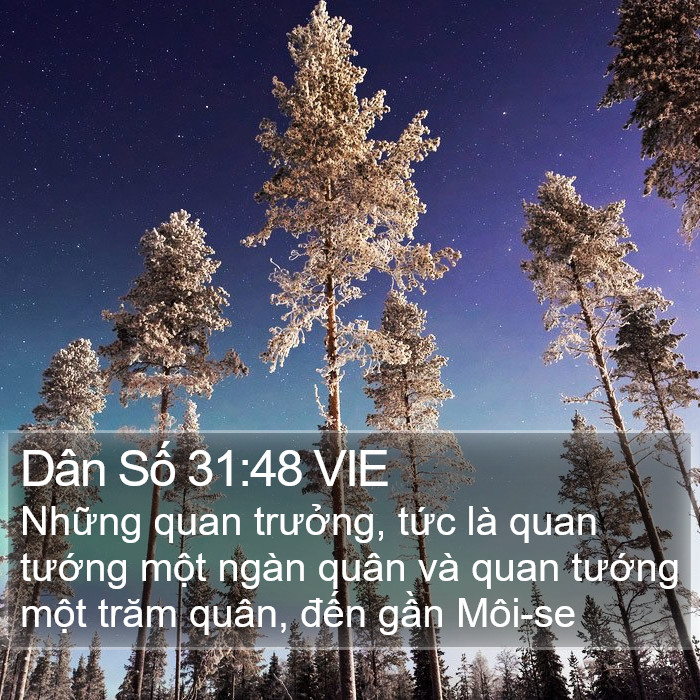 Dân Số 31:48 VIE Bible Study