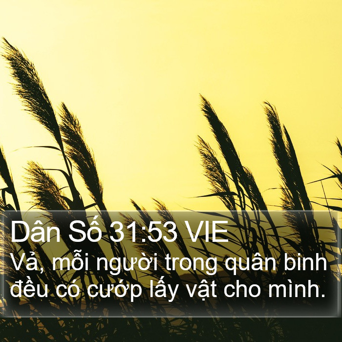 Dân Số 31:53 VIE Bible Study