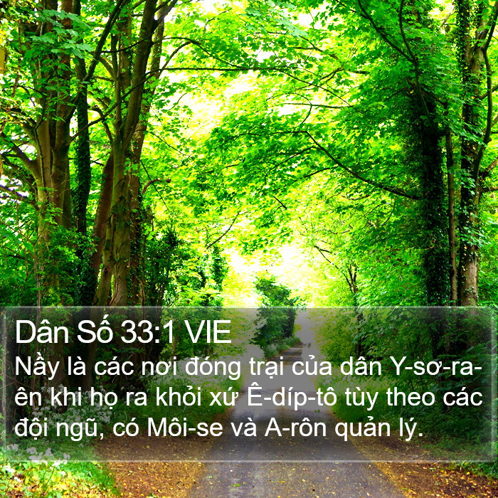 Dân Số 33:1 VIE Bible Study