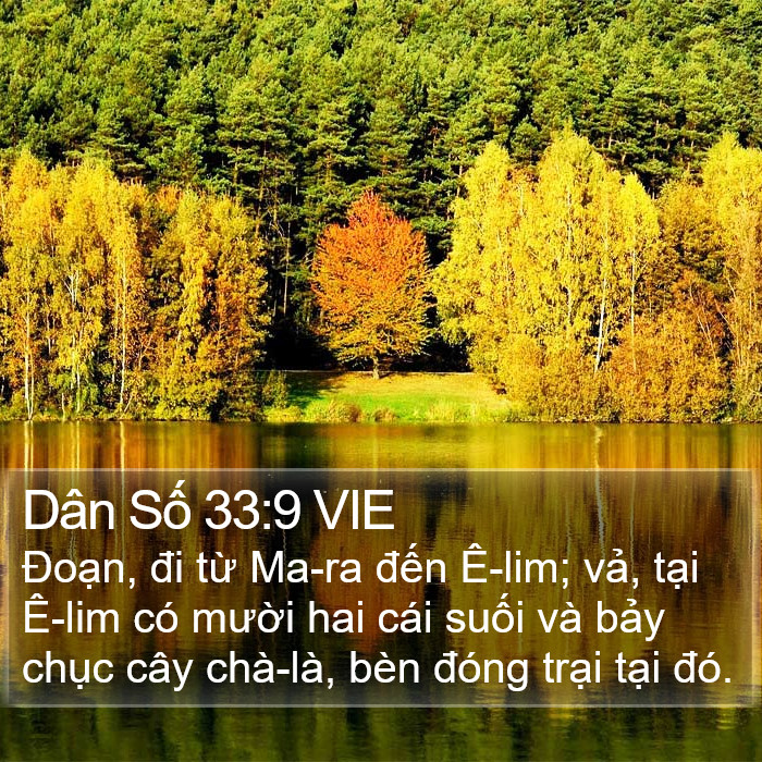 Dân Số 33:9 VIE Bible Study