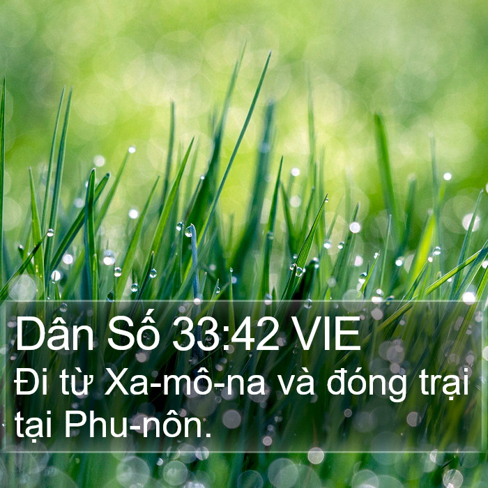 Dân Số 33:42 VIE Bible Study