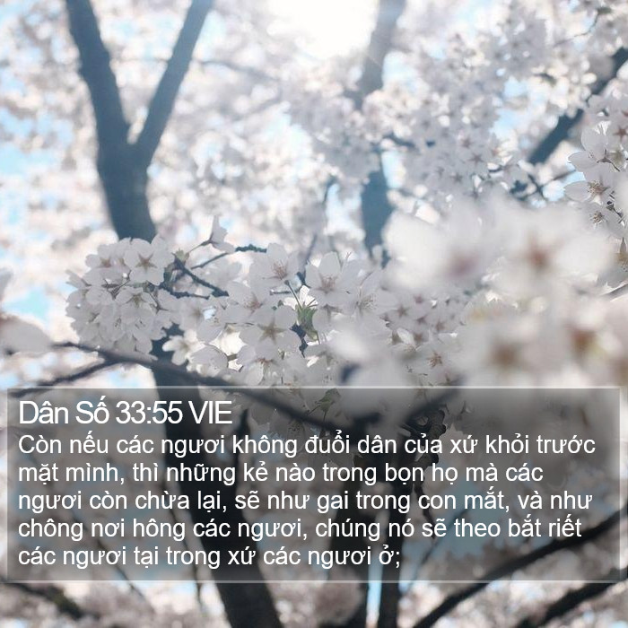 Dân Số 33:55 VIE Bible Study