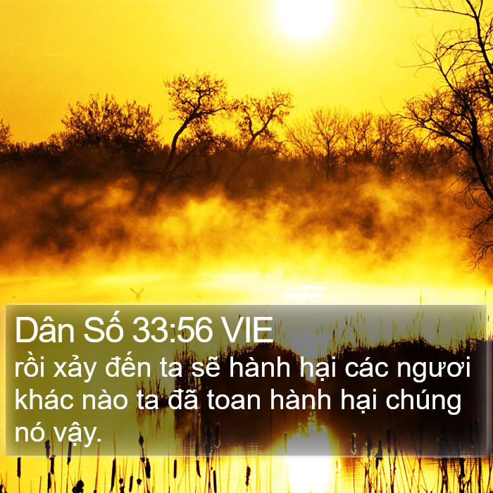 Dân Số 33:56 VIE Bible Study