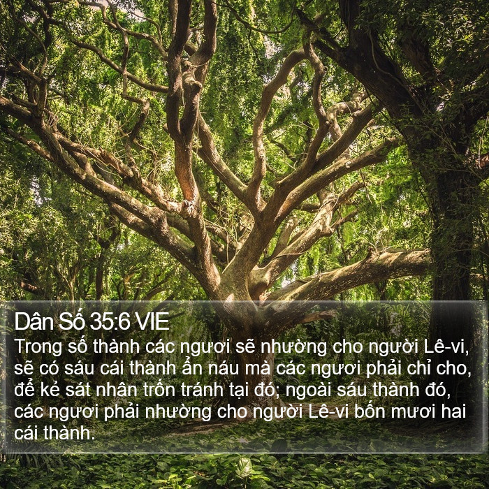 Dân Số 35:6 VIE Bible Study