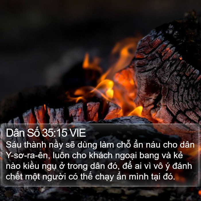 Dân Số 35:15 VIE Bible Study