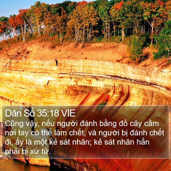 Dân Số 35:18 VIE Bible Study