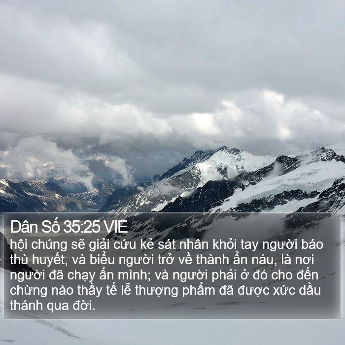 Dân Số 35:25 VIE Bible Study