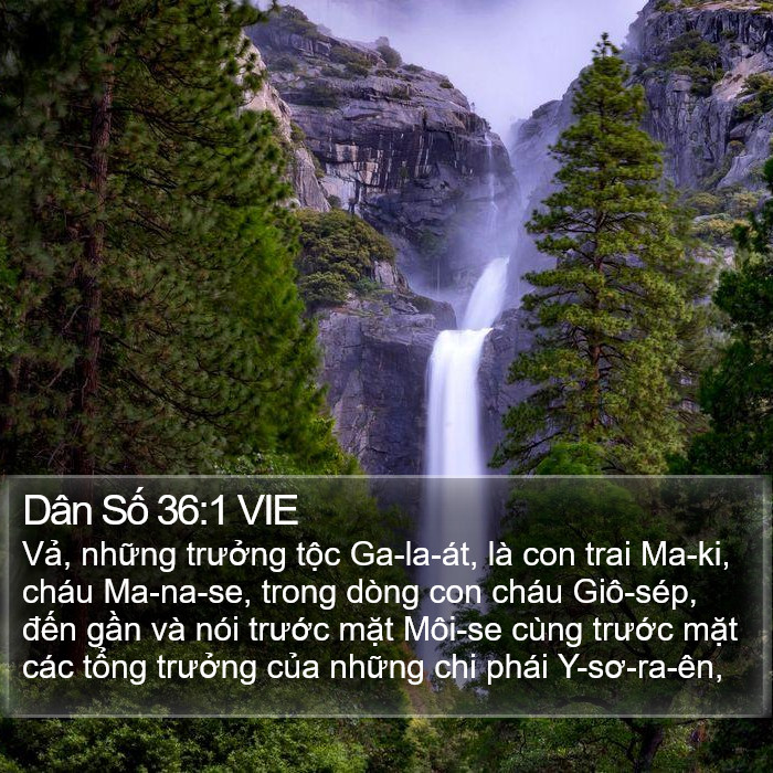 Dân Số 36:1 VIE Bible Study