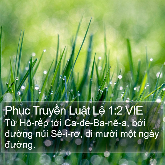 Phục Truyền Luật Lệ 1:2 VIE Bible Study