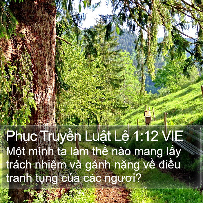 Phục Truyền Luật Lệ 1:12 VIE Bible Study