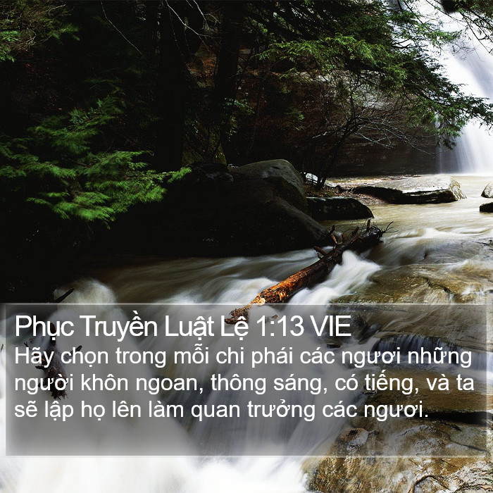 Phục Truyền Luật Lệ 1:13 VIE Bible Study