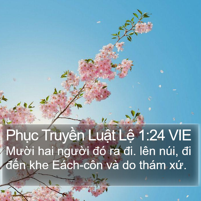 Phục Truyền Luật Lệ 1:24 VIE Bible Study