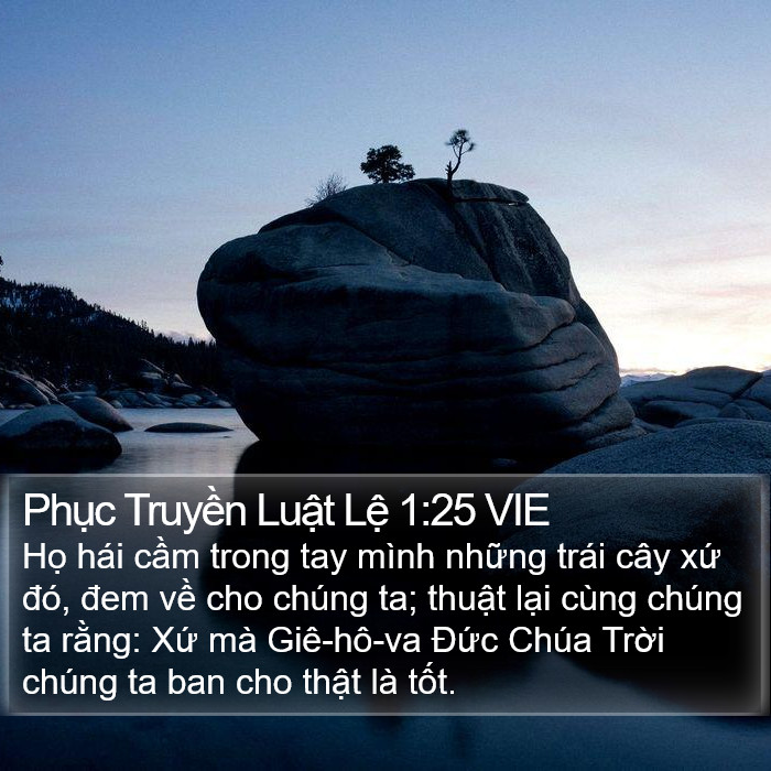 Phục Truyền Luật Lệ 1:25 VIE Bible Study