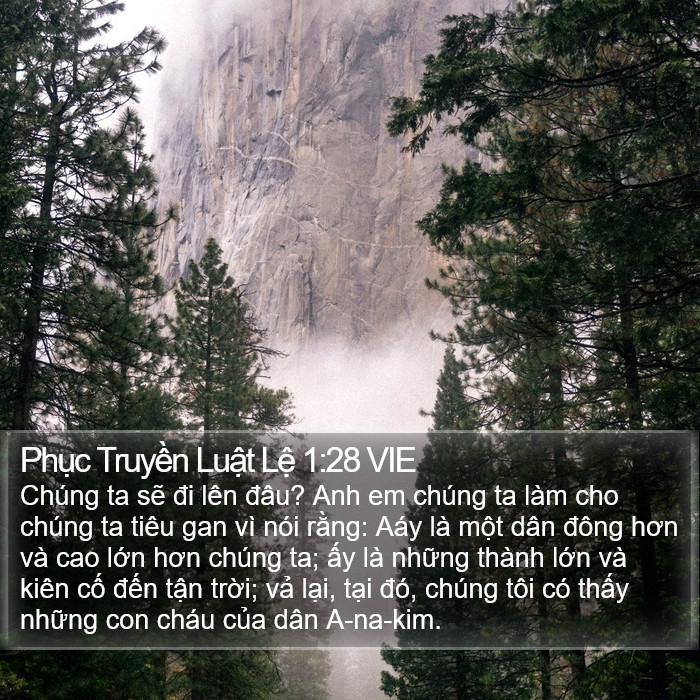 Phục Truyền Luật Lệ 1:28 VIE Bible Study