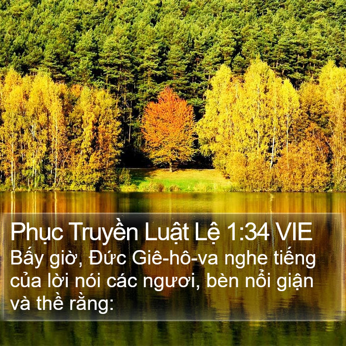 Phục Truyền Luật Lệ 1:34 VIE Bible Study