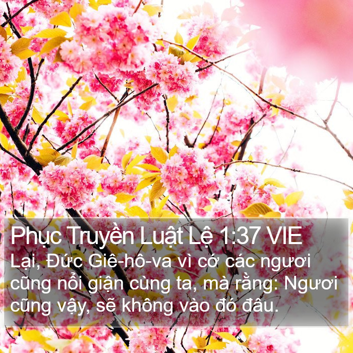 Phục Truyền Luật Lệ 1:37 VIE Bible Study