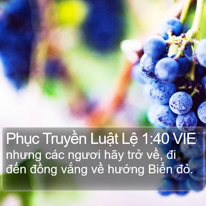 Phục Truyền Luật Lệ 1:40 VIE Bible Study