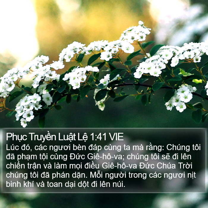 Phục Truyền Luật Lệ 1:41 VIE Bible Study