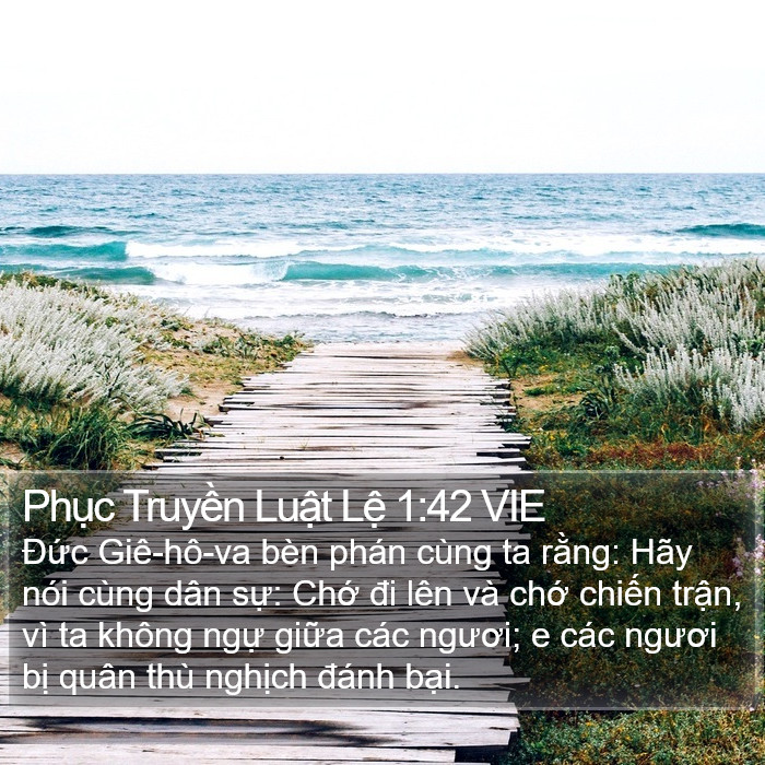 Phục Truyền Luật Lệ 1:42 VIE Bible Study