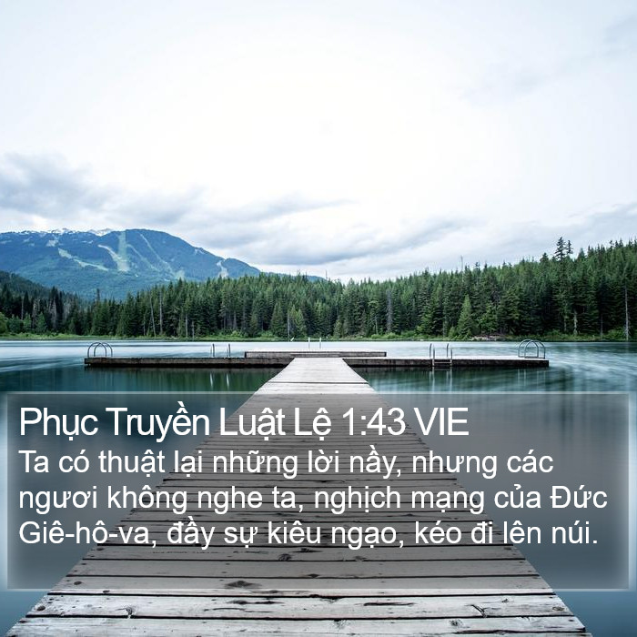 Phục Truyền Luật Lệ 1:43 VIE Bible Study