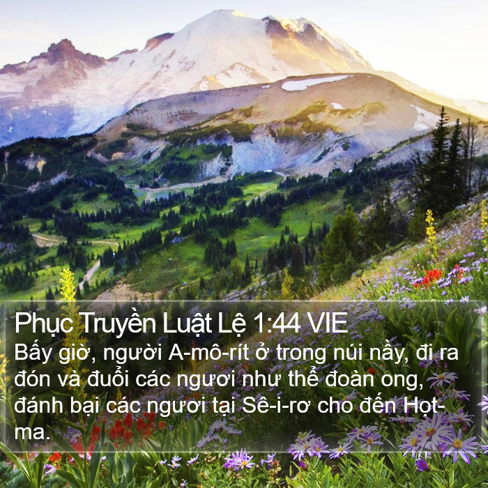 Phục Truyền Luật Lệ 1:44 VIE Bible Study