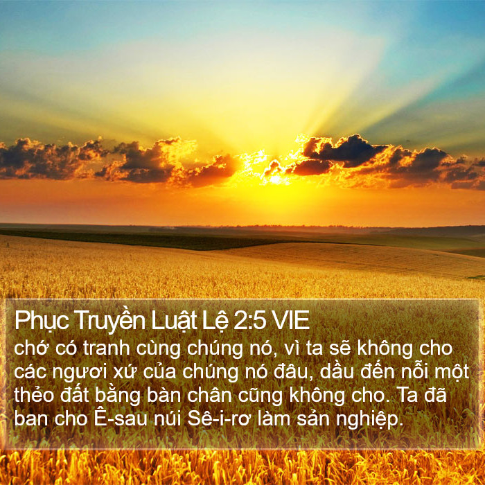 Phục Truyền Luật Lệ 2:5 VIE Bible Study