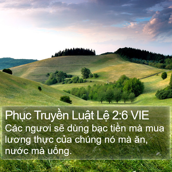 Phục Truyền Luật Lệ 2:6 VIE Bible Study