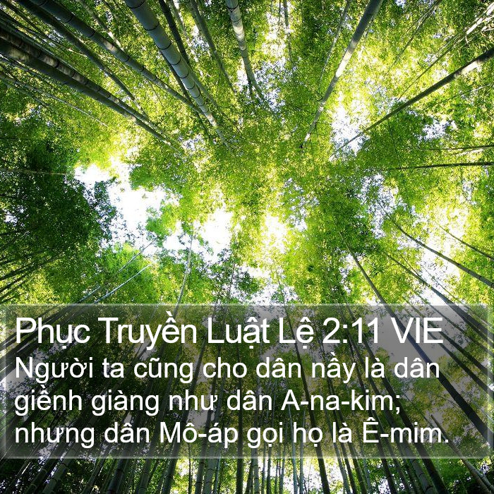 Phục Truyền Luật Lệ 2:11 VIE Bible Study