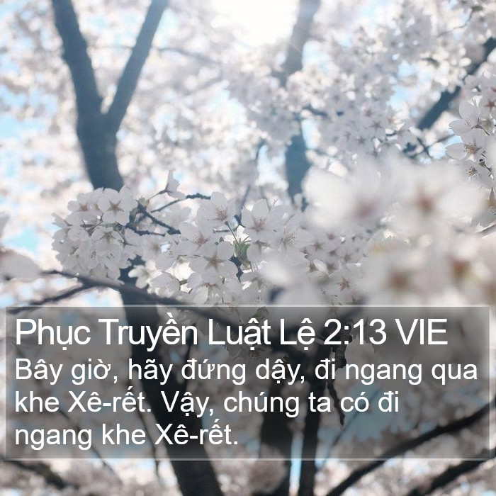 Phục Truyền Luật Lệ 2:13 VIE Bible Study