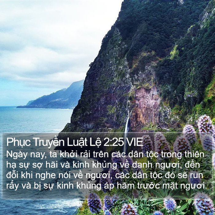 Phục Truyền Luật Lệ 2:25 VIE Bible Study