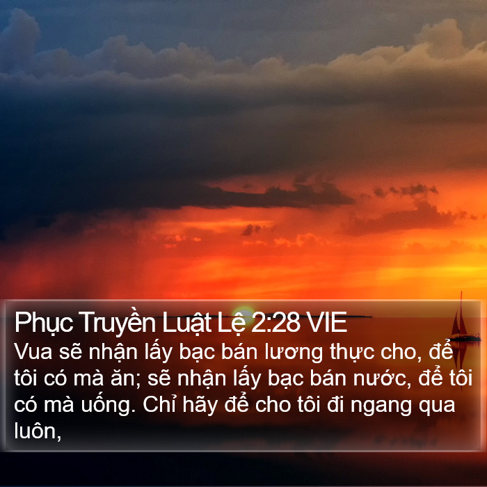 Phục Truyền Luật Lệ 2:28 VIE Bible Study