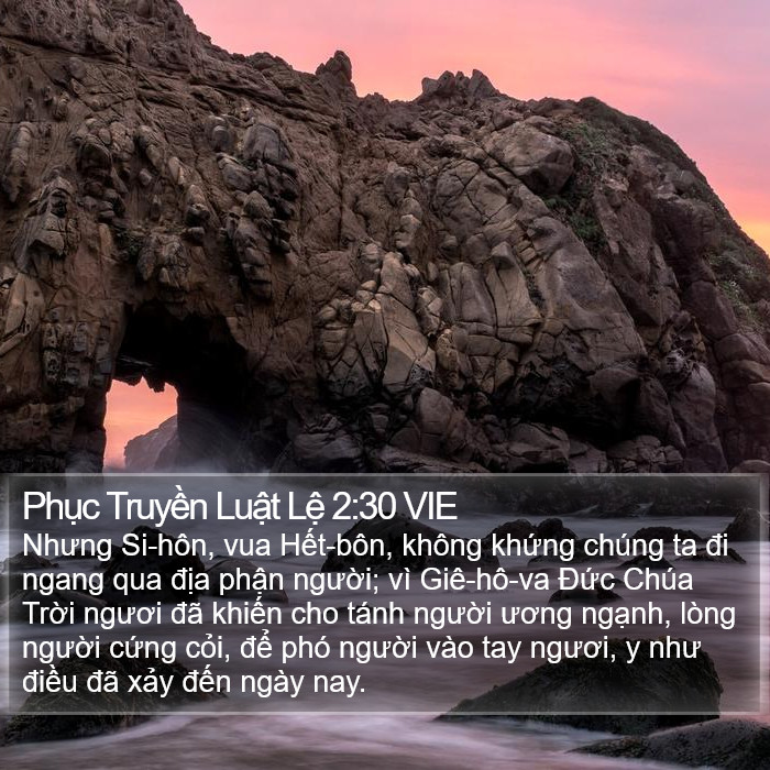 Phục Truyền Luật Lệ 2:30 VIE Bible Study