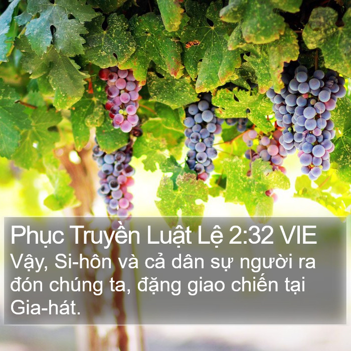 Phục Truyền Luật Lệ 2:32 VIE Bible Study