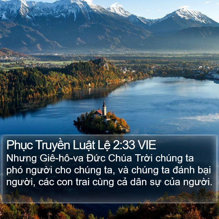 Phục Truyền Luật Lệ 2:33 VIE Bible Study