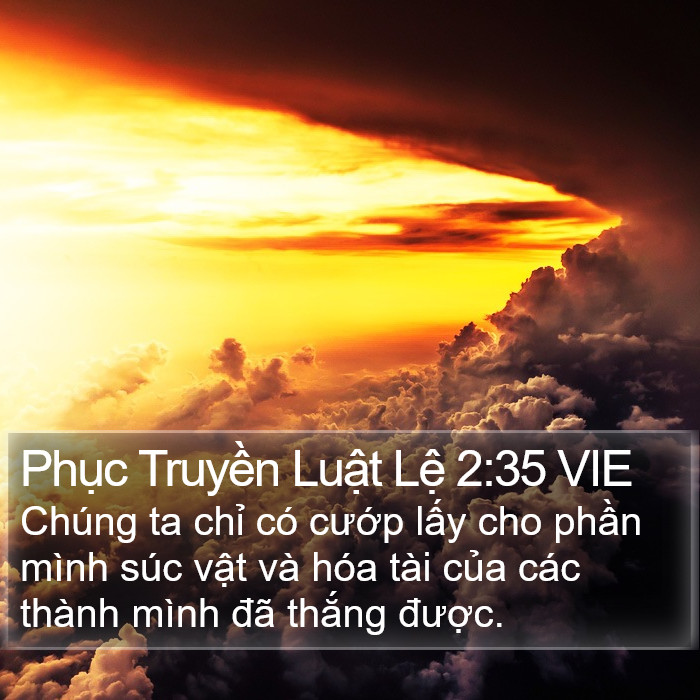 Phục Truyền Luật Lệ 2:35 VIE Bible Study