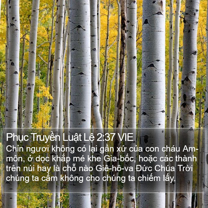 Phục Truyền Luật Lệ 2:37 VIE Bible Study