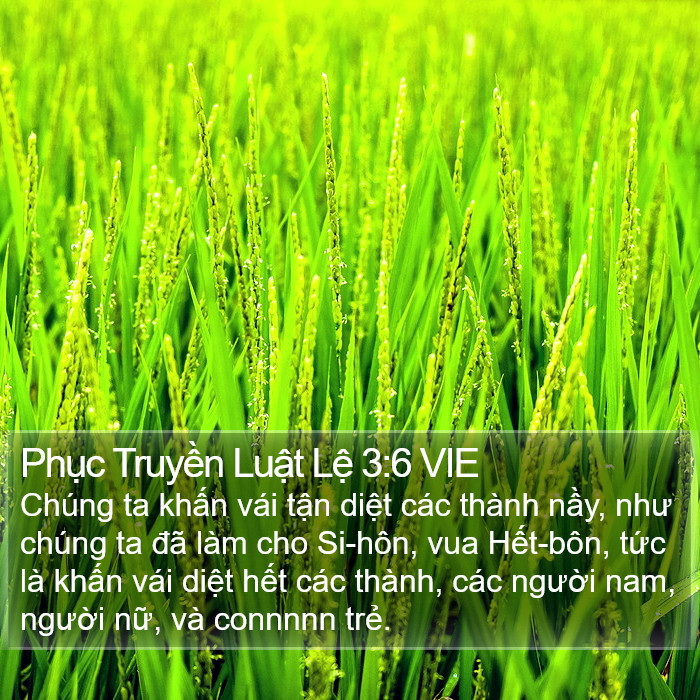 Phục Truyền Luật Lệ 3:6 VIE Bible Study